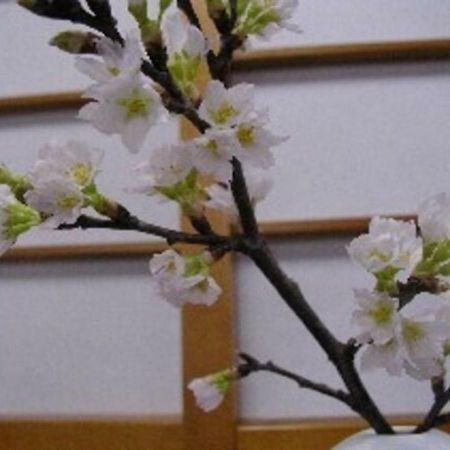 Wakaba Ryokan / Vacation Stay 29366 사카타 외부 사진